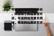 岑溪地区网站流量分析，揭秘哪个网站更受欢迎，岑溪网站流量大揭秘，哪家网站最受欢迎？