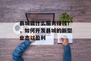县城做什么服务赚钱？，如何开发县城的新型业态以盈利