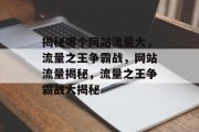 揭秘哪个网站流量大，流量之王争霸战，网站流量揭秘，流量之王争霸战大揭秘