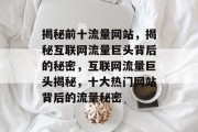 揭秘前十流量网站，揭秘互联网流量巨头背后的秘密，互联网流量巨头揭秘，十大热门网站背后的流量秘密