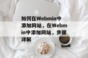 如何在Webmin中添加网站，在Webmin中添加网站，步骤详解