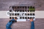 广东优质的体育赛事安保，守护激情与安全的坚实盾牌，广东体育赛事安保，激情赛事的守护盾牌