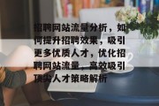 招聘网站流量分析，如何提升招聘效果，吸引更多优质人才，优化招聘网站流量，高效吸引顶尖人才策略解析