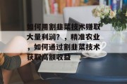 如何用割韭菜技术赚取大量利润？，精准农业，如何通过割韭菜技术获取高额收益