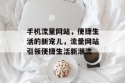 手机流量网站，便捷生活的新宠儿，流量网站引领便捷生活新潮流