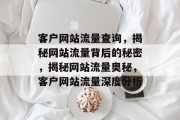 客户网站流量查询，揭秘网站流量背后的秘密，揭秘网站流量奥秘，客户网站流量深度分析