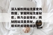 深入解析网站流量查询数据，掌握网站流量秘密，助力企业增长，揭秘网站流量奥秘，企业增长的关键数据洞察