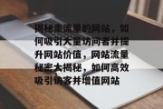 揭秘走流量的网站，如何吸引大量访问者并提升网站价值，网站流量秘密大揭秘，如何高效吸引访客并增值网站