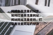 网站自带流量的秘密，如何打造高流量网站，揭秘网站流量密码，打造高流量网站的秘诀