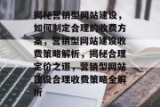 揭秘营销型网站建设，如何制定合理的收费方案，营销型网站建设收费策略解析，揭秘合理定价之道，营销型网站建设合理收费策略全解析