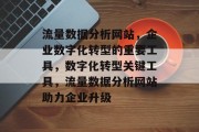 流量数据分析网站，企业数字化转型的重要工具，数字化转型关键工具，流量数据分析网站助力企业升级