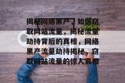 揭秘网络黑产，如何窃取网站流量，揭秘流量劫持背后的真相，网络黑产流量劫持揭秘，窃取网站流量的惊人真相