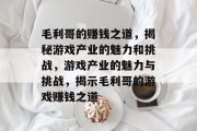 毛利哥的赚钱之道，揭秘游戏产业的魅力和挑战，游戏产业的魅力与挑战，揭示毛利哥的游戏赚钱之道