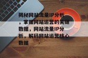 揭秘网站流量IP分析，掌握网站运营的关键数据，网站流量IP分析，解码网站运营核心数据