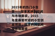 2015年的热门小生意——探索其利润空间与市场需求，2015年度最受欢迎的小型创业项目，探寻利润空间及市场需求