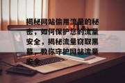 揭秘网站偷用流量的秘密，如何保护您的流量安全，揭秘流量窃取黑幕，教你守护网站流量安全