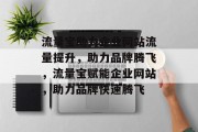 流量宝助力企业网站流量提升，助力品牌腾飞，流量宝赋能企业网站，助力品牌快速腾飞