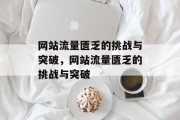 网站流量匮乏的挑战与突破，网站流量匮乏的挑战与突破