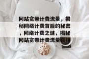 网站宽带计费流量，揭秘网络计费背后的秘密，网络计费之谜，揭秘网站宽带计费流量真相