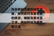 攻击网站流量的秘密武器，如何应对流量攻击的挑战，破解流量攻击之谜，揭秘网站流量防御之道