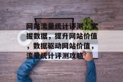 网站流量统计评测，掌握数据，提升网站价值，数据驱动网站价值，流量统计评测攻略