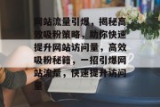 网站流量引爆，揭秘高效吸粉策略，助你快速提升网站访问量，高效吸粉秘籍，一招引爆网站流量，快速提升访问量
