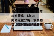 Linux网站访问流量分析，趋势、挑战与应对策略，Linux网站流量分析，洞察趋势、应对挑战的策略解析