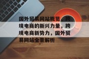 国外贸易网站概览，跨境电商的新兴力量，跨境电商新势力，国外贸易网站全景解析