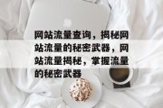 网站流量查询，揭秘网站流量的秘密武器，网站流量揭秘，掌握流量的秘密武器