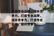 打造专业品牌，提升竞争力，打造专业品牌，提升竞争力，打造专业品牌，提升竞争力
