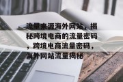 流量来源海外网站，揭秘跨境电商的流量密码，跨境电商流量密码，海外网站流量揭秘