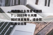 现在做什么生意才赚钱？，2023年十大赚钱好项目推荐，适合你的投资选择