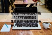 2023年最赚钱的生意选择与市场趋势分析，2023年最赚钱的生意选择与市场趋势分析，洞察与决策指南