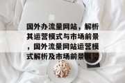 国外办流量网站，解析其运营模式与市场前景，国外流量网站运营模式解析及市场前景展望