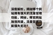 深度解析，揭秘哪个网站拥有强大的流量管理功能，揭秘，哪家网站独领风骚，流量管理功能强大无比？