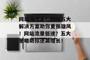 网站没流量？揭秘五大解决方案助你重振雄风！网站流量低迷？五大策略助你逆袭增长！