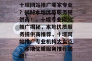十堰网站推广哪家专业？揭秘本地优质服务提供商！，十堰专业网站推广揭秘，本地优质服务提供商推荐，十堰网站推广专业机构大盘点，本地优质服务推荐揭晓！