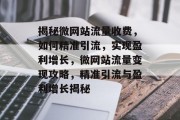 揭秘微网站流量收费，如何精准引流，实现盈利增长，微网站流量变现攻略，精准引流与盈利增长揭秘