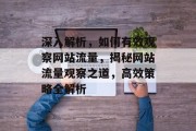 深入解析，如何有效观察网站流量，揭秘网站流量观察之道，高效策略全解析