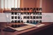 揭秘网站偷用户流量的黑幕，如何保护你的流量安全，网络流量劫持内幕曝光，教你守护流量安全