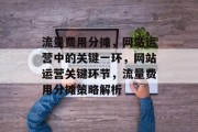 流量费用分摊，网站运营中的关键一环，网站运营关键环节，流量费用分摊策略解析