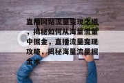 直播网站流量变现之道，揭秘如何从海量流量中掘金，直播流量变现攻略，揭秘海量流量掘金术