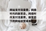 网站支付流量费，网络时代的新常态，网络时代支付流量费，新常态下的网站运营成本挑战