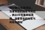 揭秘看xv流量网站，流量背后的秘密与风险，揭示XV流量网站真相，流量背后的秘密与风险大揭秘