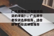 广元有哪些适合新手投资的项目？，广元初学者投资选择指南，适合新手的投资项目推荐