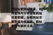 揭秘谷歌网站流量，如何查询与分析谷歌网站流量数据，谷歌网站流量数据分析秘籍，揭秘查询与解析之道
