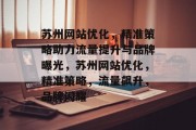 苏州网站优化，精准策略助力流量提升与品牌曝光，苏州网站优化，精准策略，流量飙升，品牌闪耀