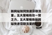 新网站如何快速获取流量，五大策略助你一臂之力，五大策略助新网站快速获取流量的秘籍
