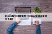 网红ip视频流量提升（网红ip视频流量提升大吗）