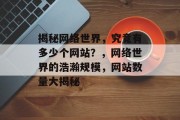 揭秘网络世界，究竟有多少个网站？，网络世界的浩瀚规模，网站数量大揭秘